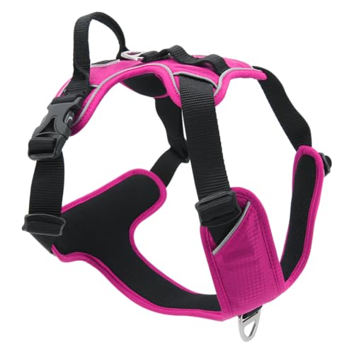 JACK AND VANILLA, Fuchsia-Geschirr für Kleintiere, optimaler Komfort, verstärkte Sicherheit, modernes und benutzerfreundliches Design, Größe XS, Farbe Fuchsia, Expeditionsmodell JACK AND VANILLA, Fuchsia-Geschirr für Kleintiere, optimaler Komfort, verstärkte Sicherheit, modernes und benutzerfreundliches Design, Größe XS, Farbe Fuchsia, Expeditionsmodell von JACK AND VANILLA