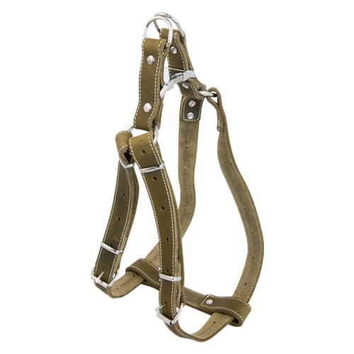 JACK AND VANILLA, Robustes Ledergeschirr für Hunde, Größe 30–50 cm, Elegante grüne Farbe, verstärkte Sicherheit mit reflektierenden Elementen, 16 mm, Ledermodell JACK AND VANILLA, Robustes Ledergeschirr für Hunde, Größe 30–50 cm, Elegante grüne Farbe, verstärkte Sicherheit mit reflektierenden Elementen, 16 mm, Ledermodell von JACK AND VANILLA
