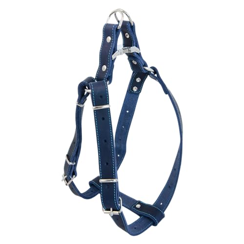 JACK AND VANILLA, Robustes Ledergeschirr für Hunde, Größe 30–50 cm, Elegantes und sicheres Design, Blaue Farbe, Größe 16 x 30–50 cm, Ledermodell von JACK AND VANILLA