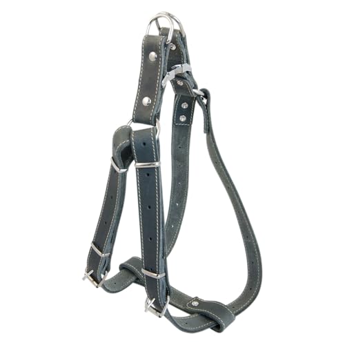JACK AND VANILLA, Robustes Ledergeschirr für Hunde, verstellbar von 30 bis 50 cm, Elegantes graues Design, optimaler Komfort durch gepolstertes Futter, leicht an- und auszuziehen, Ledermodell von JACK AND VANILLA