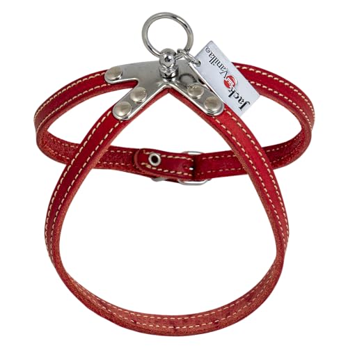 JACK AND VANILLA, Robustes Ledergeschirr für Tiere, individuelle Passform, Leuchtend rote Farbe, einfach zu verwenden und zu pflegen, Größe 10 x 45 cm, Ledermodell von JACK AND VANILLA