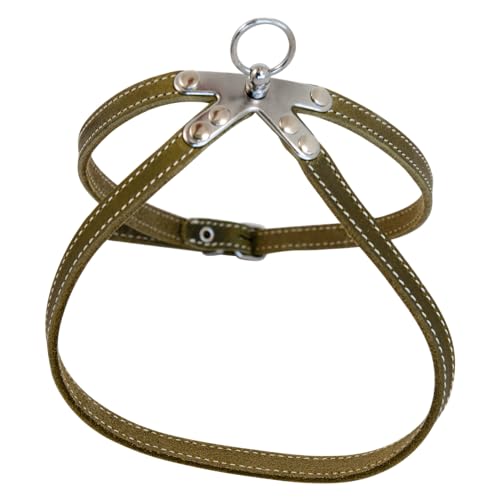 JACK AND VANILLA, Robustes Ledergeschirr für Haustiere, maßgeschneiderte grüne Farbe, ideal zum Spazierengehen und Wandern, Maße 10 mm x 40 cm, Ledermodell von JACK AND VANILLA