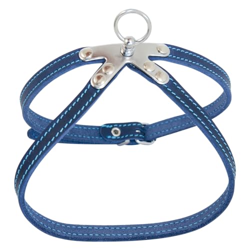 JACK AND VANILLA, Robustes Haustiergeschirr aus Leder, individuelle Passform, Leuchtend Blaue Farbe, verstärkte Sicherheit, leicht zu reinigen, Größe 10 x 45 cm, Ledermuster JACK AND VANILLA, Robustes Haustiergeschirr aus Leder, individuelle Passform, Leuchtend Blaue Farbe, verstärkte Sicherheit, leicht zu reinigen, Größe 10 x 45 cm, Ledermuster von JACK AND VANILLA