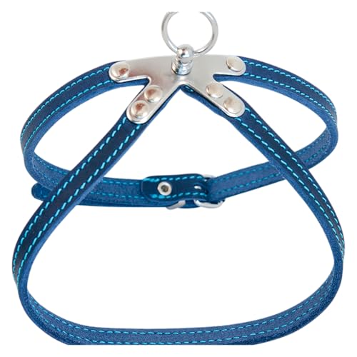 JACK AND VANILLA, Robustes Haustiergeschirr aus Leder, individuelle Passform, einfach zu bedienen, stilvolle Blaue Farbe, Größe: 10 x 30 cm, Komfort und Sicherheit garantiert, Modell JACK AND VANILLA, Robustes Haustiergeschirr aus Leder, individuelle Passform, einfach zu bedienen, stilvolle Blaue Farbe, Größe: 10 x 30 cm, Komfort und Sicherheit garantiert, Modell von JACK AND VANILLA