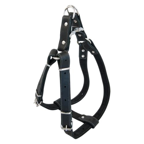 JACK AND VANILLA Robustes Hundegeschirr aus schwarzem Leder, individuelle Passform, 25 mm Breite, verstellbare Länge 65–90 cm, optimaler Komfort und verstärkte Sicherheit, Schwarz 25 mm x 65 – von JACK AND VANILLA