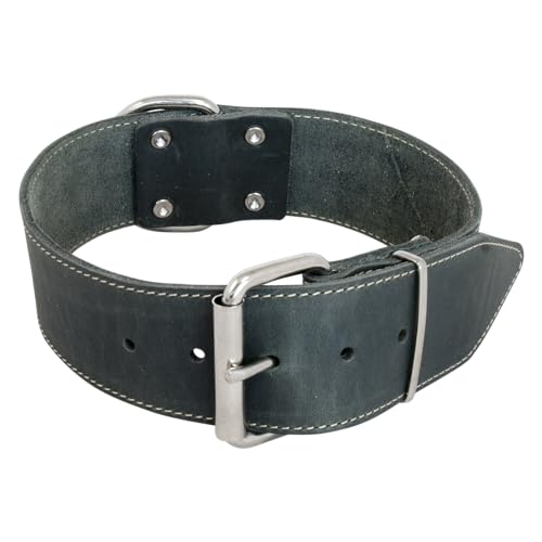JACK AND VANILLA – Großes Hundehalsband aus Fettleder – für mittelgroße bis große Hunde – solide, langlebig, weich im Griff – moderner Look – grau, Größe 40 mm x 55 cm JACK AND VANILLA – Großes Hundehalsband aus Fettleder – für mittelgroße bis große Hunde – solide, langlebig, weich im Griff – moderner Look – grau, Größe 40 mm x 55 cm von JACK AND VANILLA