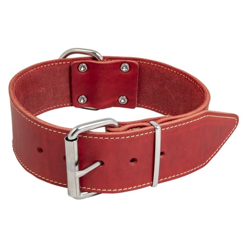 JACK AND VANILLA – Großes Hundehalsband aus Fettleder – für mittelgroße bis große Hunde – solide, langlebig, weich im Griff – moderner Look – rote Farbe, Größe 30 mm x 45 cm JACK AND VANILLA – Großes Hundehalsband aus Fettleder – für mittelgroße bis große Hunde – solide, langlebig, weich im Griff – moderner Look – rote Farbe, Größe 30 mm x 45 cm von JACK AND VANILLA