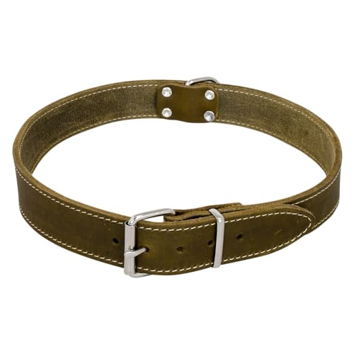 JACK AND VANILLA, Hundehalskette aus grünem Fettleder, stilvolles und langlebiges Design, verstellbar, 12 mm breit und 30 cm lang, ideal für den Komfort und die Sicherheit Ihres Haustieres von JACK AND VANILLA
