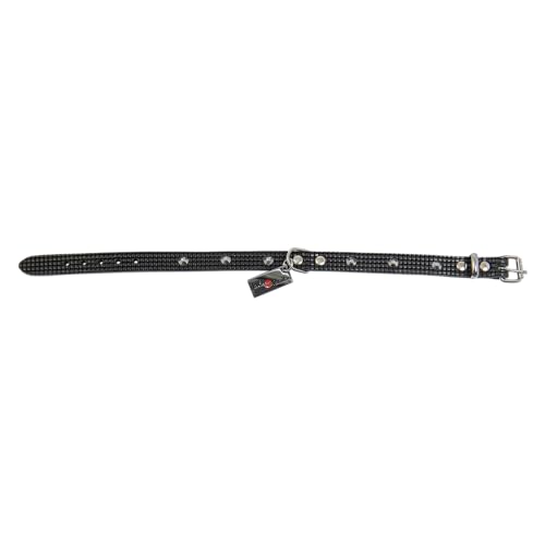 JACK AND VANILLA, Hundehalsband, Modell Monaco, Farbe Schwarz, Größe 16 mm x 40 cm JACK AND VANILLA, Hundehalsband, Modell Monaco, Farbe Schwarz, Größe 16 mm x 40 cm von JACK AND VANILLA