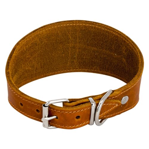 JACK AND VANILLA, Windhundhalsband für Hunde, Modell für fettige Haut, Farbe Cognac, Größe 42 cm JACK AND VANILLA, Windhundhalsband für Hunde, Modell für fettige Haut, Farbe Cognac, Größe 42 cm von JACK AND VANILLA
