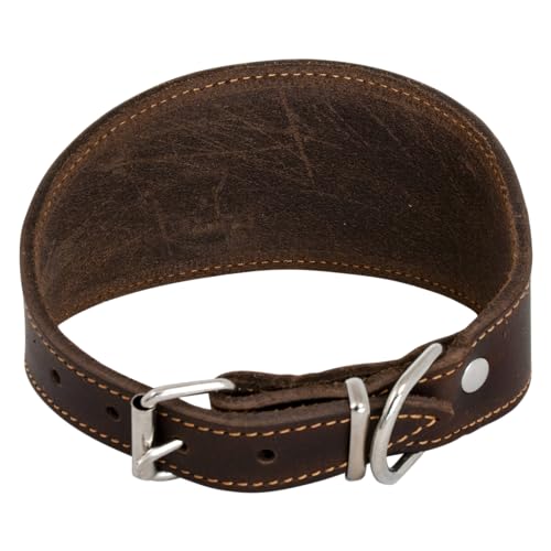 JACK AND VANILLA, Windhundhalsband für Hunde, Modell für fettige Haut, braune Farbe, Größe 37 cm JACK AND VANILLA, Windhundhalsband für Hunde, Modell für fettige Haut, braune Farbe, Größe 37 cm von JACK AND VANILLA