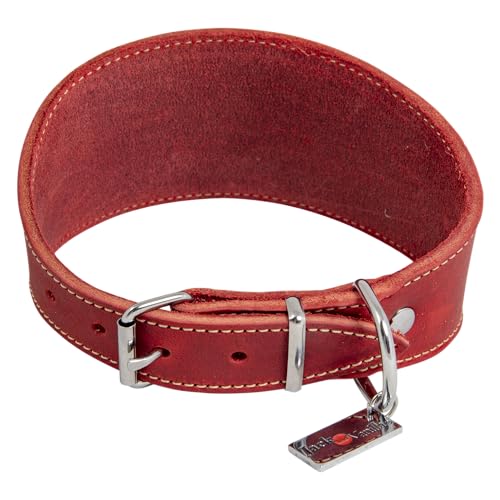 JACK AND VANILLA, Windhundhalsband für Hunde, Modell für fettige Haut, rote Farbe, Größe 37 cm JACK AND VANILLA, Windhundhalsband für Hunde, Modell für fettige Haut, rote Farbe, Größe 37 cm von JACK AND VANILLA