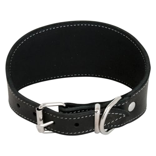 JACK AND VANILLA, Windhundhalsband für Hunde, Modell für fettige Haut, Schwarze Farbe, Größe 48 cm JACK AND VANILLA, Windhundhalsband für Hunde, Modell für fettige Haut, Schwarze Farbe, Größe 48 cm von JACK AND VANILLA