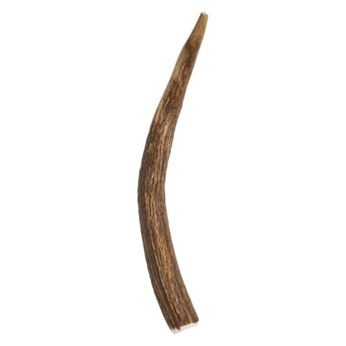 JACK AND VANILLA, natürliches gebrochenes Hirschholz für Hunde, trockener und langlebiger Kausnack, fördert die Zahngesundheit, 28–50 g, ideal für kleine bis mittelgroße Hunde, rein natürliches Modell JACK AND VANILLA, natürliches gebrochenes Hirschholz für Hunde, trockener und langlebiger Kausnack, fördert die Zahngesundheit, 28–50 g, ideal für kleine bis mittelgroße Hunde, rein natürliches Modell von JACK AND VANILLA