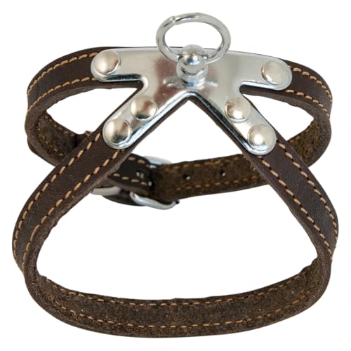 JACK AND VANILLA, Strapazierfähiges braunes Ledergeschirr für Haustiere, optimaler Komfort, einfach zu bedienen, verstärkte Sicherheit, Breite 10 mm, Länge 25 cm, braune Farbe, Ledermuster JACK AND VANILLA, Strapazierfähiges braunes Ledergeschirr für Haustiere, optimaler Komfort, einfach zu bedienen, verstärkte Sicherheit, Breite 10 mm, Länge 25 cm, braune Farbe, Ledermuster von JACK AND VANILLA