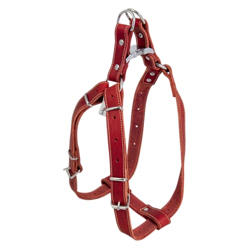 JACK AND VANILLA, Hundegeschirr aus strapazierfähigem Leder, verstellbar von 65 bis 90 cm, Breite 25 mm, Elegantes Design und optimale Sicherheit für Ihre Spaziergänge, Ledermodell von JACK AND VANILLA