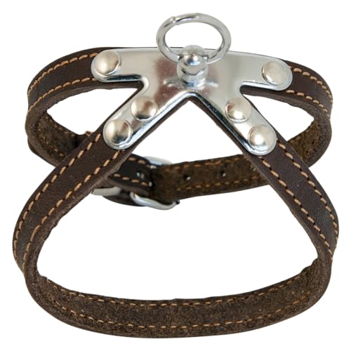JACK AND VANILLA Haustiergeschirr aus braunem Leder – individuelle Passform – verstärkte Sicherheit – pflegeleicht – 10 mm breit x 40 cm lang – Braun JACK AND VANILLA Haustiergeschirr aus braunem Leder – individuelle Passform – verstärkte Sicherheit – pflegeleicht – 10 mm breit x 40 cm lang – Braun von JACK AND VANILLA