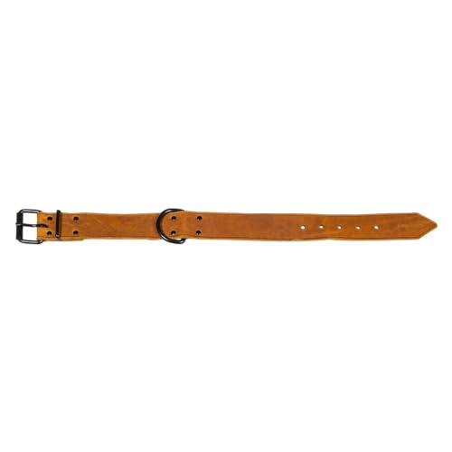 JACK AND VANILLA – Black Label großes Hundehalsband – für kleine, mittelgroße und große Hunde – verstellbar, langlebig, effektiver Verschluss – Cognac-Farbe, Größe 40 mm x 50 cm JACK AND VANILLA – Black Label großes Hundehalsband – für kleine, mittelgroße und große Hunde – verstellbar, langlebig, effektiver Verschluss – Cognac-Farbe, Größe 40 mm x 50 cm von JACK AND VANILLA