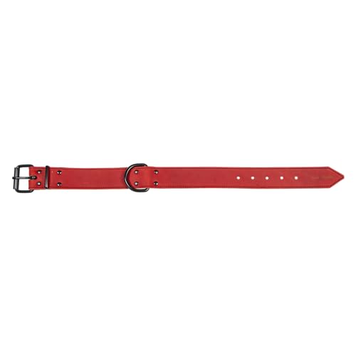 JACK AND VANILLA, großes Hundehalsband, Black Label-Modell, rote Farbe, Größe 40 mm x 55 cm JACK AND VANILLA, großes Hundehalsband, Black Label-Modell, rote Farbe, Größe 40 mm x 55 cm von JACK AND VANILLA