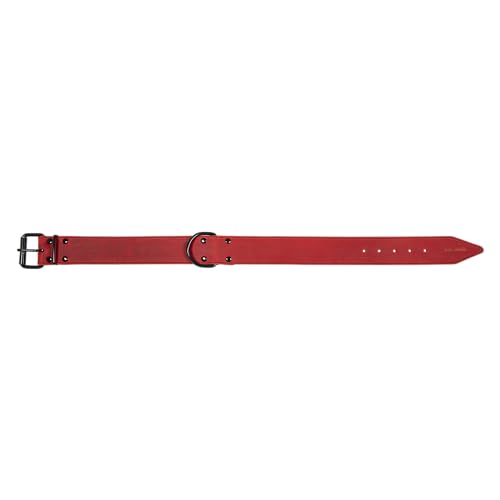 JACK AND VANILLA, großes Hundehalsband, Black Label-Modell, rote Farbe, Größe 50 mm x 60 cm JACK AND VANILLA, großes Hundehalsband, Black Label-Modell, rote Farbe, Größe 50 mm x 60 cm von JACK AND VANILLA