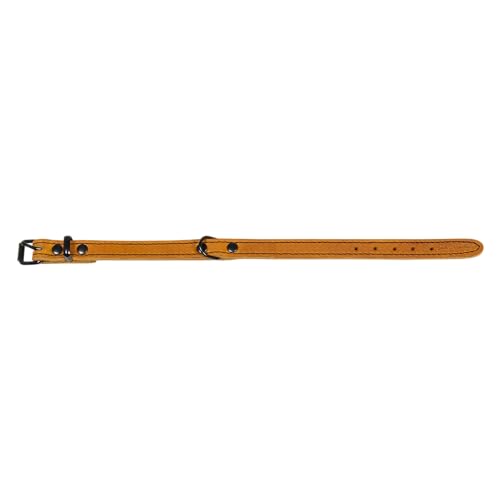 JACK AND VANILLA, Hundehalsband, Black Label-Modell, Farbe Cognac, Größe 10 mm x 25 cm von JACK AND VANILLA