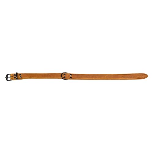 JACK AND VANILLA, Hundehalsband, Black Label-Modell, Farbe Cognac, Größe 30 mm x 70 cm JACK AND VANILLA, Hundehalsband, Black Label-Modell, Farbe Cognac, Größe 30 mm x 70 cm von JACK AND VANILLA