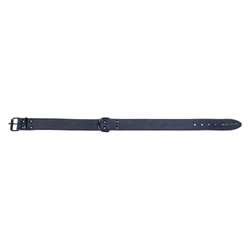JACK AND VANILLA, Hundehalsband, Black Label-Modell, Blaue Farbe, Größe 30 mm x 75 cm JACK AND VANILLA, Hundehalsband, Black Label-Modell, Blaue Farbe, Größe 30 mm x 75 cm von JACK AND VANILLA