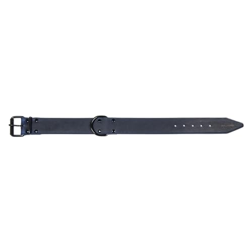 JACK AND VANILLA, Hundehalsband, Black Label-Modell, Blaue Farbe, Größe 40 mm x 55 cm JACK AND VANILLA, Hundehalsband, Black Label-Modell, Blaue Farbe, Größe 40 mm x 55 cm von JACK AND VANILLA