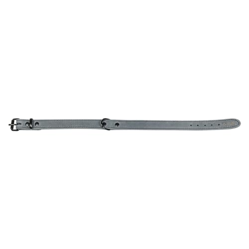 JACK AND VANILLA, Hundehalsband, Black Label-Modell, Grau, Größe 18 mm x 45 cm JACK AND VANILLA, Hundehalsband, Black Label-Modell, Grau, Größe 18 mm x 45 cm von JACK AND VANILLA