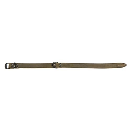 JACK AND VANILLA, Hundehalsband, Black Label-Modell, grüne Farbe, Größe 30 mm x 75 cm JACK AND VANILLA, Hundehalsband, Black Label-Modell, grüne Farbe, Größe 30 mm x 75 cm von JACK AND VANILLA