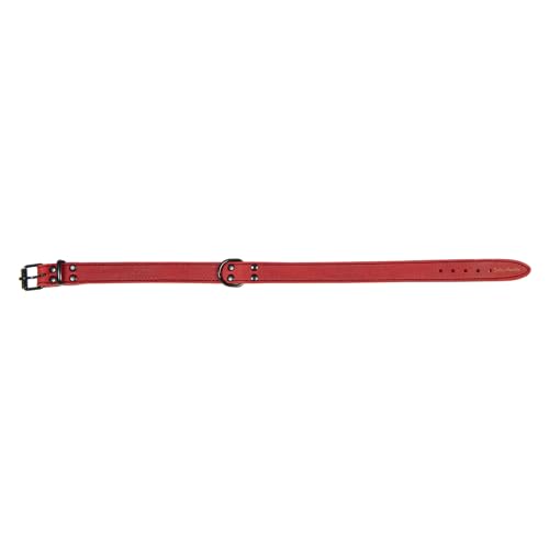 JACK AND VANILLA, Hundehalsband, Black Label-Modell, rote Farbe, Größe 14 mm x 35 cm JACK AND VANILLA, Hundehalsband, Black Label-Modell, rote Farbe, Größe 14 mm x 35 cm von JACK AND VANILLA
