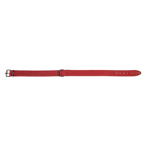 JACK AND VANILLA, Hundehalsband, Black Label-Modell, rote Farbe, Größe 30 mm x 70 cm JACK AND VANILLA, Hundehalsband, Black Label-Modell, rote Farbe, Größe 30 mm x 70 cm von JACK AND VANILLA