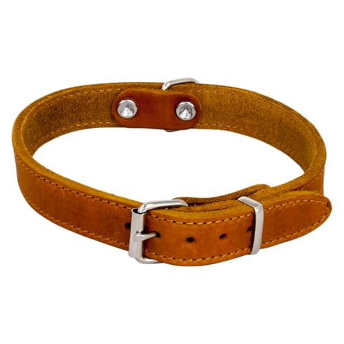 JACK AND VANILLA, Hundehalsband, Modell für fettige Haut, Farbe Cognac, Größe 30 mm x 65 cm von JACK AND VANILLA
