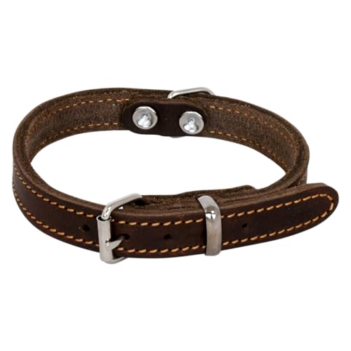 JACK AND VANILLA – Hundehalsband aus fettigem Leder – Widerstandsfähiges Material, pflegeleicht, weich und angenehm anzufassen – Moderner Look – Braune Farbe, Größe 18 mm x 45 cm JACK AND VANILLA – Hundehalsband aus fettigem Leder – Widerstandsfähiges Material, pflegeleicht, weich und angenehm anzufassen – Moderner Look – Braune Farbe, Größe 18 mm x 45 cm von JACK AND VANILLA
