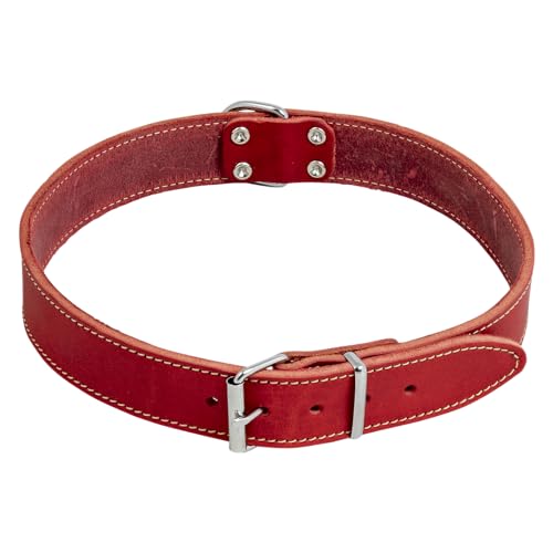 JACK AND VANILLA – Hundehalsband aus Ölleder – Widerstandsfähiges Material, pflegeleicht, weich und angenehm anzufassen – Moderner Look – Rote Farbe, Maße 30 mm x 70 cm JACK AND VANILLA – Hundehalsband aus Ölleder – Widerstandsfähiges Material, pflegeleicht, weich und angenehm anzufassen – Moderner Look – Rote Farbe, Maße 30 mm x 70 cm von JACK AND VANILLA