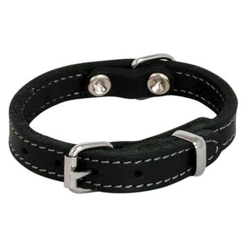 JACK AND VANILLA – Hundehalsband aus fettigem Leder – Widerstandsfähiges Material, pflegeleicht, weich und angenehm anzufassen – Moderner Look – Schwarze Farbe, Größe 30 mm x 70 cm JACK AND VANILLA – Hundehalsband aus fettigem Leder – Widerstandsfähiges Material, pflegeleicht, weich und angenehm anzufassen – Moderner Look – Schwarze Farbe, Größe 30 mm x 70 cm von JACK AND VANILLA
