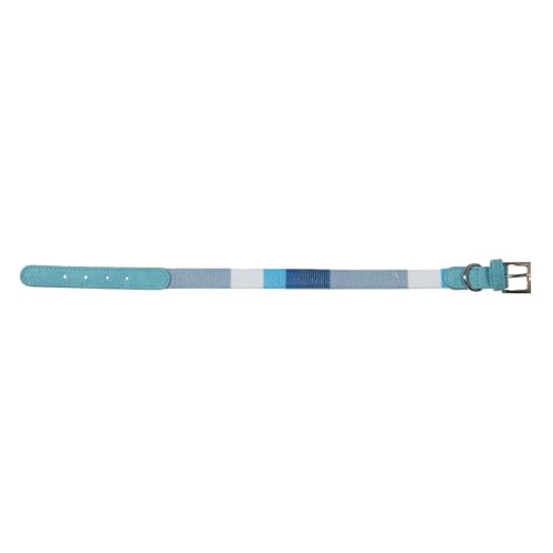 JACK AND VANILLA, Hundehalsband Modell Ibiza, Blaue Farbe, Größe 30 mm x 50 cm JACK AND VANILLA, Hundehalsband Modell Ibiza, Blaue Farbe, Größe 30 mm x 50 cm von JACK AND VANILLA