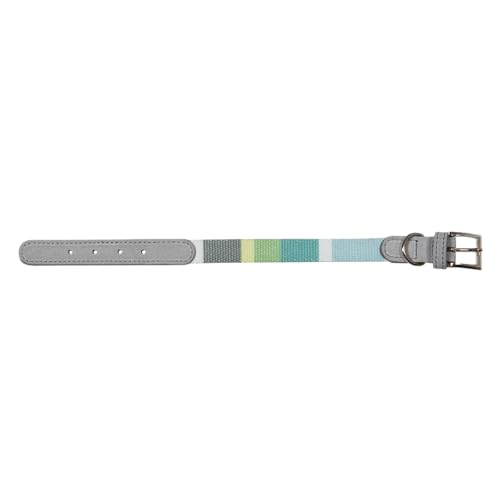 JACK AND VANILLA, Hundehalsband, Modell Ibiza, grüne Farbe, Größe 20 mm x 40 cm JACK AND VANILLA, Hundehalsband, Modell Ibiza, grüne Farbe, Größe 20 mm x 40 cm von JACK AND VANILLA