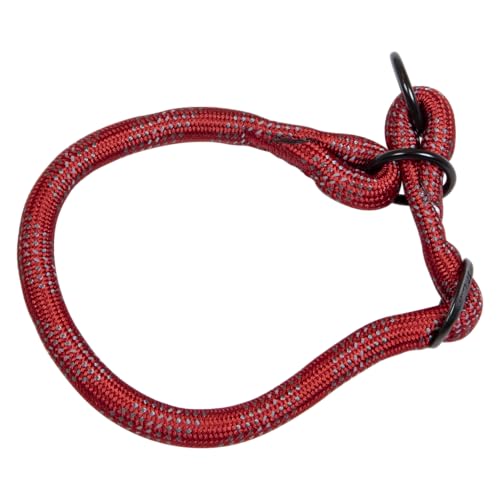 JACK AND VANILLA, Hundehalsband, Modell mit leuchtenden Punkten, rote Farbe, Größe 12 mm x 30–35 cm JACK AND VANILLA, Hundehalsband, Modell mit leuchtenden Punkten, rote Farbe, Größe 12 mm x 30–35 cm von JACK AND VANILLA