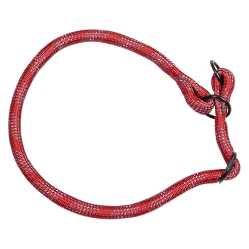 JACK AND VANILLA, Hundehalsband, Modell mit leuchtenden Punkten, rote Farbe, Größe 12 mm x 50–65 cm von JACK AND VANILLA