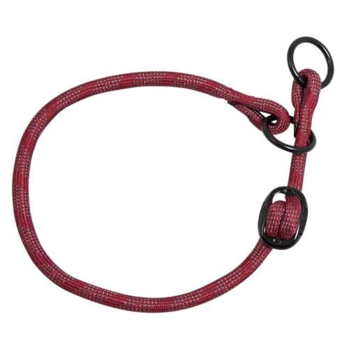 JACK AND VANILLA, Hundehalsband, Modell mit leuchtenden Punkten, rote Farbe, Größe 8 mm x 40–50 cm JACK AND VANILLA, Hundehalsband, Modell mit leuchtenden Punkten, rote Farbe, Größe 8 mm x 40–50 cm von JACK AND VANILLA