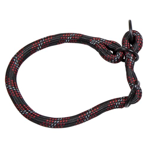 JACK AND VANILLA – Großes, leuchtendes Hundehalsband – mit Lichtpunkten, hohe Sichtbarkeit – für Hunde jeder Größe – Schwarz, Größe 12 mm x 35–40 cm JACK AND VANILLA – Großes, leuchtendes Hundehalsband – mit Lichtpunkten, hohe Sichtbarkeit – für Hunde jeder Größe – Schwarz, Größe 12 mm x 35–40 cm von JACK AND VANILLA