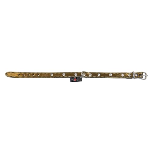 JACK AND VANILLA, Hundehalsband, Modell Monaco, Bronzefarbe, Größe 18 mm x 45 cm JACK AND VANILLA, Hundehalsband, Modell Monaco, Bronzefarbe, Größe 18 mm x 45 cm von JACK AND VANILLA