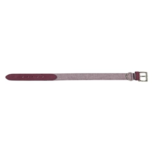 JACK AND VANILLA, Hundehalsband, Modell Quebec, lila Farbe, Größe 20 mm x 40 cm JACK AND VANILLA, Hundehalsband, Modell Quebec, lila Farbe, Größe 20 mm x 40 cm von JACK AND VANILLA