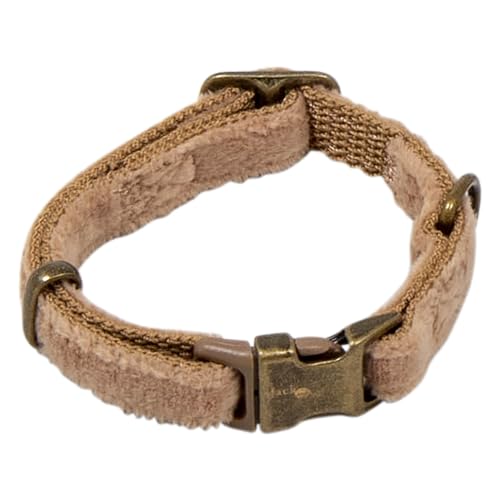 JACK AND VANILLA, Hundehalsband, Samtmodell, Kamelfarbe, Größe 10 mm x 18-24 cm JACK AND VANILLA, Hundehalsband, Samtmodell, Kamelfarbe, Größe 10 mm x 18-24 cm von JACK AND VANILLA