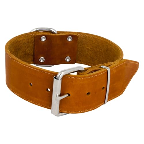 JACK AND VANILLA – Großes Hundehalsband aus Fettleder – für mittelgroße bis große Hunde – solide, langlebig, weich im Griff – moderner Look – Farbe Cognac, Größe 30 mm x 50 cm JACK AND VANILLA – Großes Hundehalsband aus Fettleder – für mittelgroße bis große Hunde – solide, langlebig, weich im Griff – moderner Look – Farbe Cognac, Größe 30 mm x 50 cm von JACK AND VANILLA
