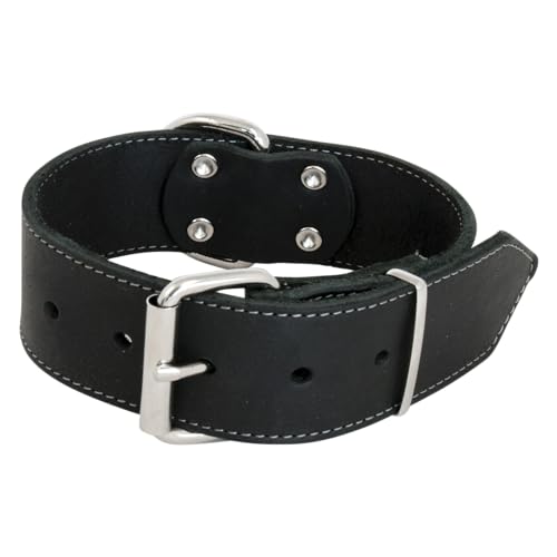 JACK AND VANILLA – Großes Hundehalsband aus geöltem Leder – für mittelgroße bis große Hunde – Solide, langlebig, weich im Griff – Moderner Look – Farbe Schwarz, Größe 50 mm x 70 cm JACK AND VANILLA – Großes Hundehalsband aus geöltem Leder – für mittelgroße bis große Hunde – Solide, langlebig, weich im Griff – Moderner Look – Farbe Schwarz, Größe 50 mm x 70 cm von JACK AND VANILLA