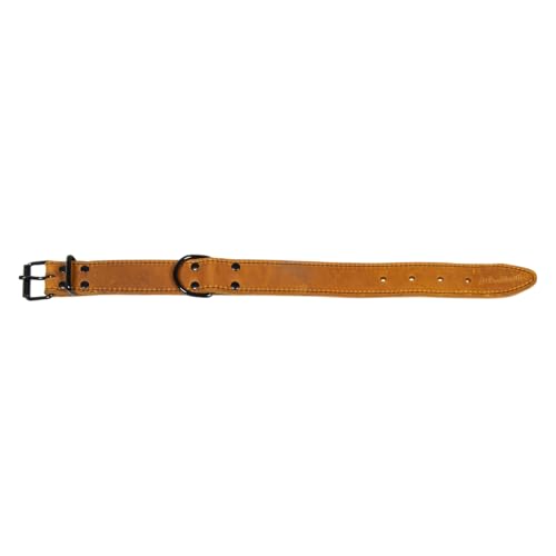 JACK AND VANILLA, großes Hundehalsband, Black Label-Modell, Cognacfarbe, Größe 30 mm x 40 cm JACK AND VANILLA, großes Hundehalsband, Black Label-Modell, Cognacfarbe, Größe 30 mm x 40 cm von JACK AND VANILLA