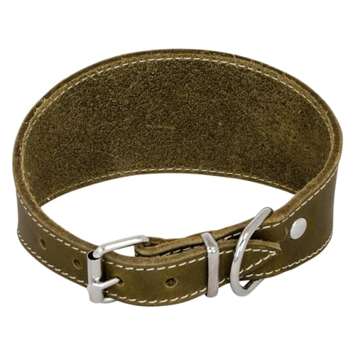 JACK AND VANILLA, Hundehalsband aus Leder für Windhunde, bequem und langlebig, sichere Schnalle, verstellbar, grün, 48 cm, Muster mit fettiger Haut von JACK AND VANILLA