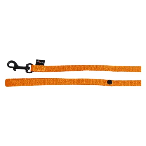 JACK AND VANILLA, Hundeleine, Modell Comfort Tube Nylon, Farbe Orange, Größe M, 20 mm x 152 cm JACK AND VANILLA, Hundeleine, Modell Comfort Tube Nylon, Farbe Orange, Größe M, 20 mm x 152 cm von JACK AND VANILLA